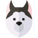 husky siberiano icon