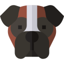 boxer icon