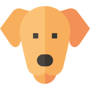 golden retriever icon