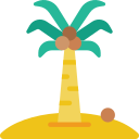 palmera 