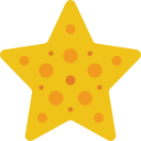 seestern icon