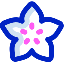 fruta estrella icon