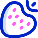 fresa icon