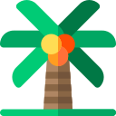 Árbol de coco