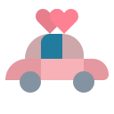 coche de boda icon