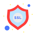 ssl icon