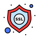 ssl icon