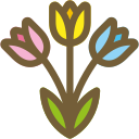 tulipanes