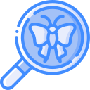 lupa icon