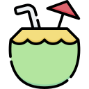 bebida de coco icon