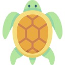 tortuga