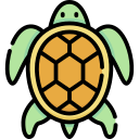 tortuga icon