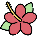 hibisco icon