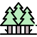 bosque icon