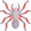 tarántula 