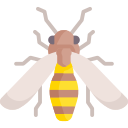 abeja