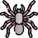 tarántula icon