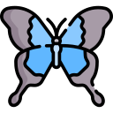 mariposa icon