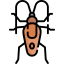 cucaracha icon