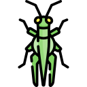 saltamontes icon