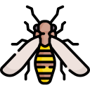 abeja icon