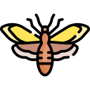 polilla icon