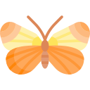 mariposa