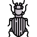 insecto icon