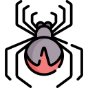 araña icon