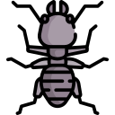 insecto icon