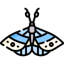 polilla icon