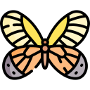 mariposa icon