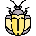 insecto icon