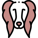 spaniel icon