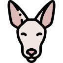 galgo icon