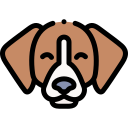 perro icon