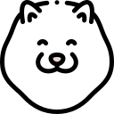 bichon frise icon