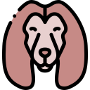 perro icon