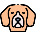 golden retriever icon