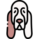 spaniel icon