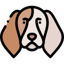 beagle icon