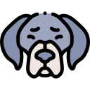 perro icon