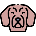 perro icon