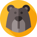 oso icon