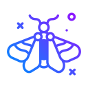 mariposa icon