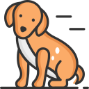 perro icon