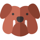 Собака 
