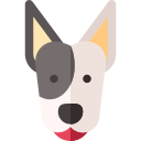 hund 
