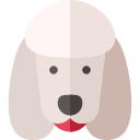 Собака 