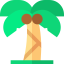 palmera icon